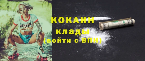метадон Алексин
