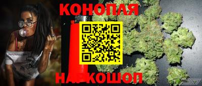 ПСИЛОЦИБИНОВЫЕ ГРИБЫ Тара