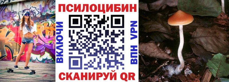 Галлюциногенные грибы Psilocybine cubensis  Тула 