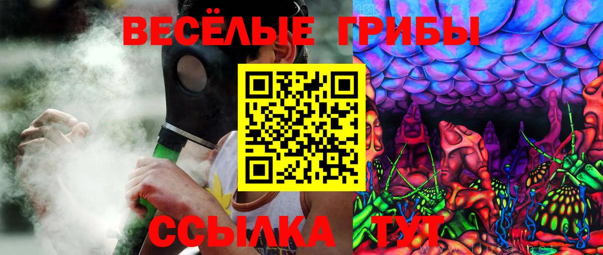 Тула  Псилоцибиновые грибы прущие грибы  Вход с VPN  Галлюциногенные грибы Cubensis 